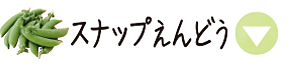 春のおやさい手帳